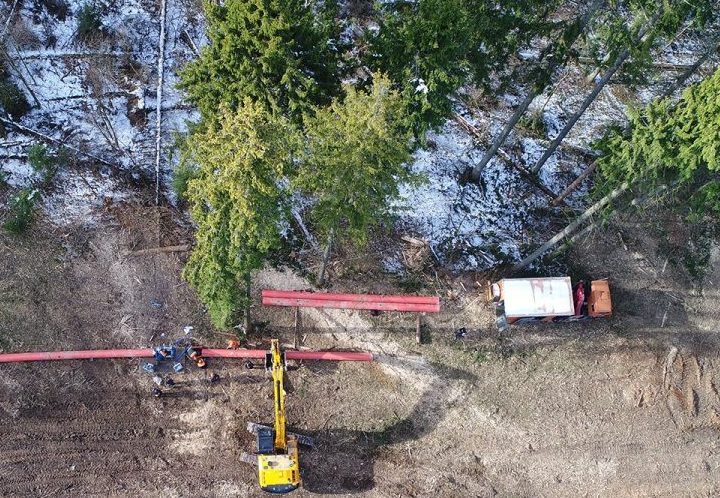 На Щукинском полуострове высадят более 800 деревьев