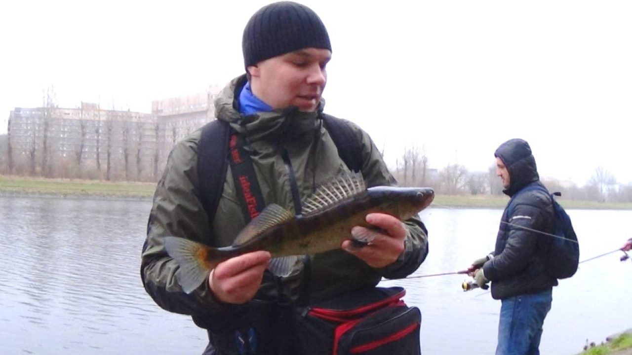 рыбалка на реке сходня в москве