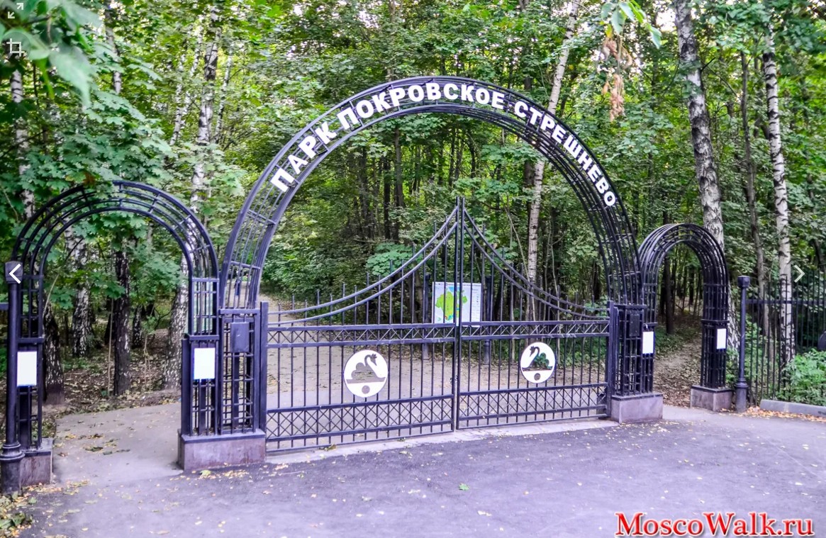 В парке «Покровское-Стрешнево» по субботам возобновились пятикилометровые забеги