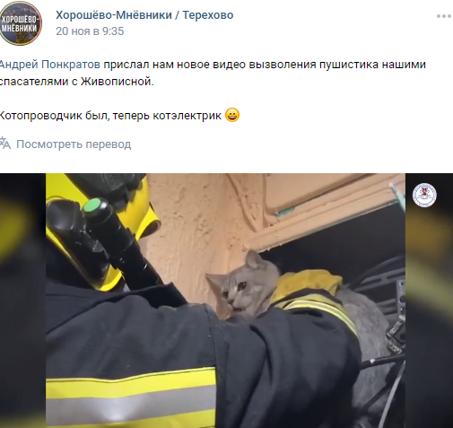 На Живописной спасатели вытащили из щитовой кота-«электрика»