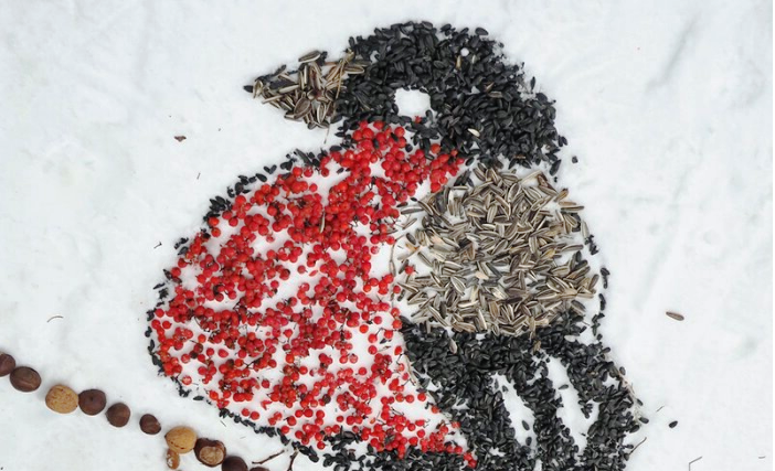 Живописную “поляну” накроют для птиц в Щукинском лесопарке