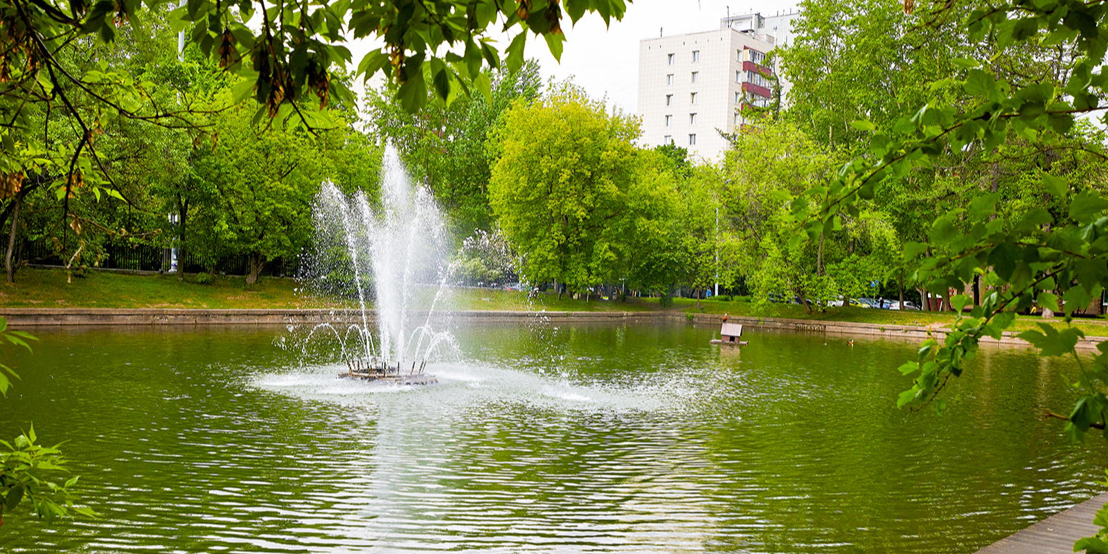 гончаровский парк