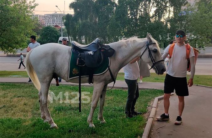 В Строгине прохожие сумели остановить мчавшихся по тротуару коней