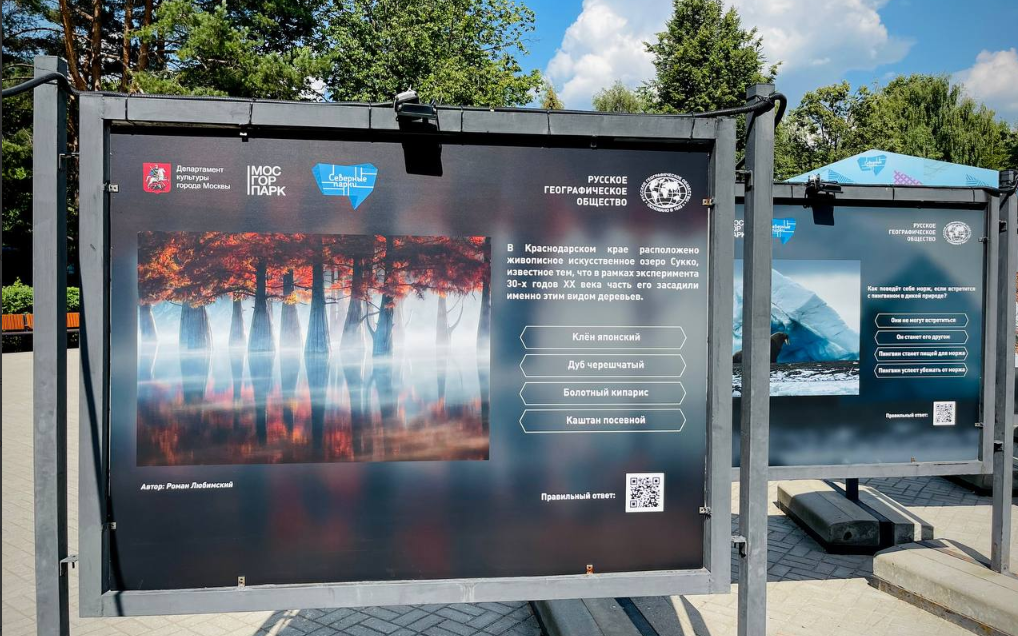 В Северном Тушине открылась необычная выставка-викторина