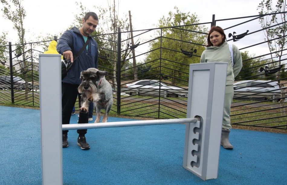 Площадку для выгула собак на Лодочной оценят в проекте “Активный гражданин”