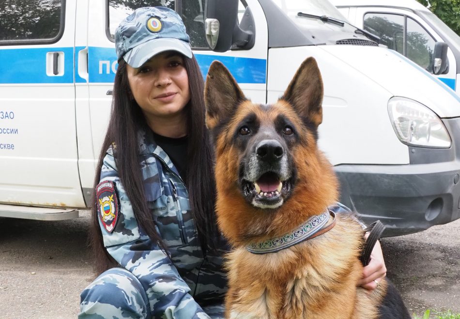 Полицейский пёс нашел в Северном Тушине 131 сверток с наркотиками