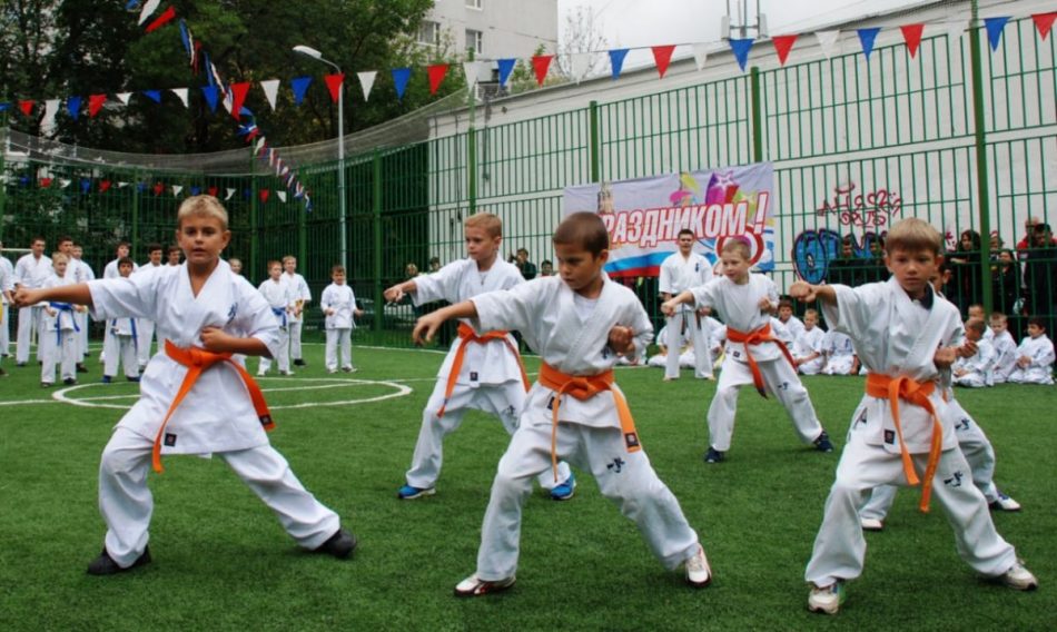 На улице Маршала Василевского в Щукине пройдет праздник айкидо