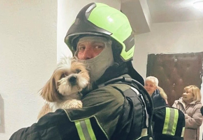 Пожарные спасли собаку из задымлённой квартиры в Северном Тушине