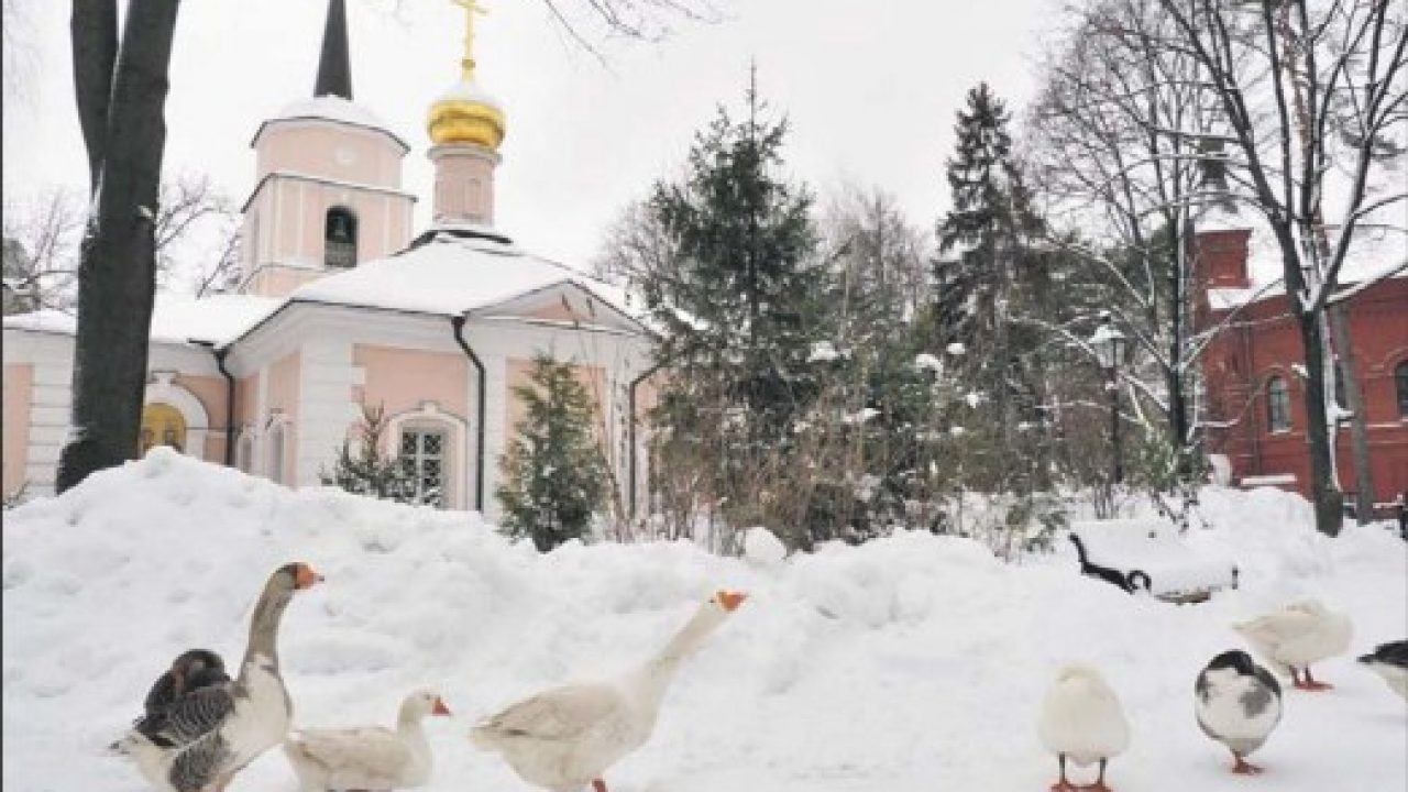 Отрочество философа Соловьева прошло в Покровском-Стрешневе | Москва.  Северо-Запад