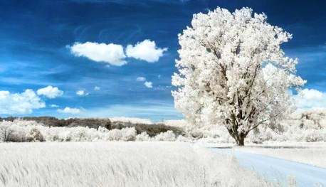 На Карамышевской набережной открылась зимняя фотовыставка