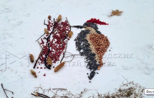 Вкусную поляну накроют для птиц в Щукинском лесопарке