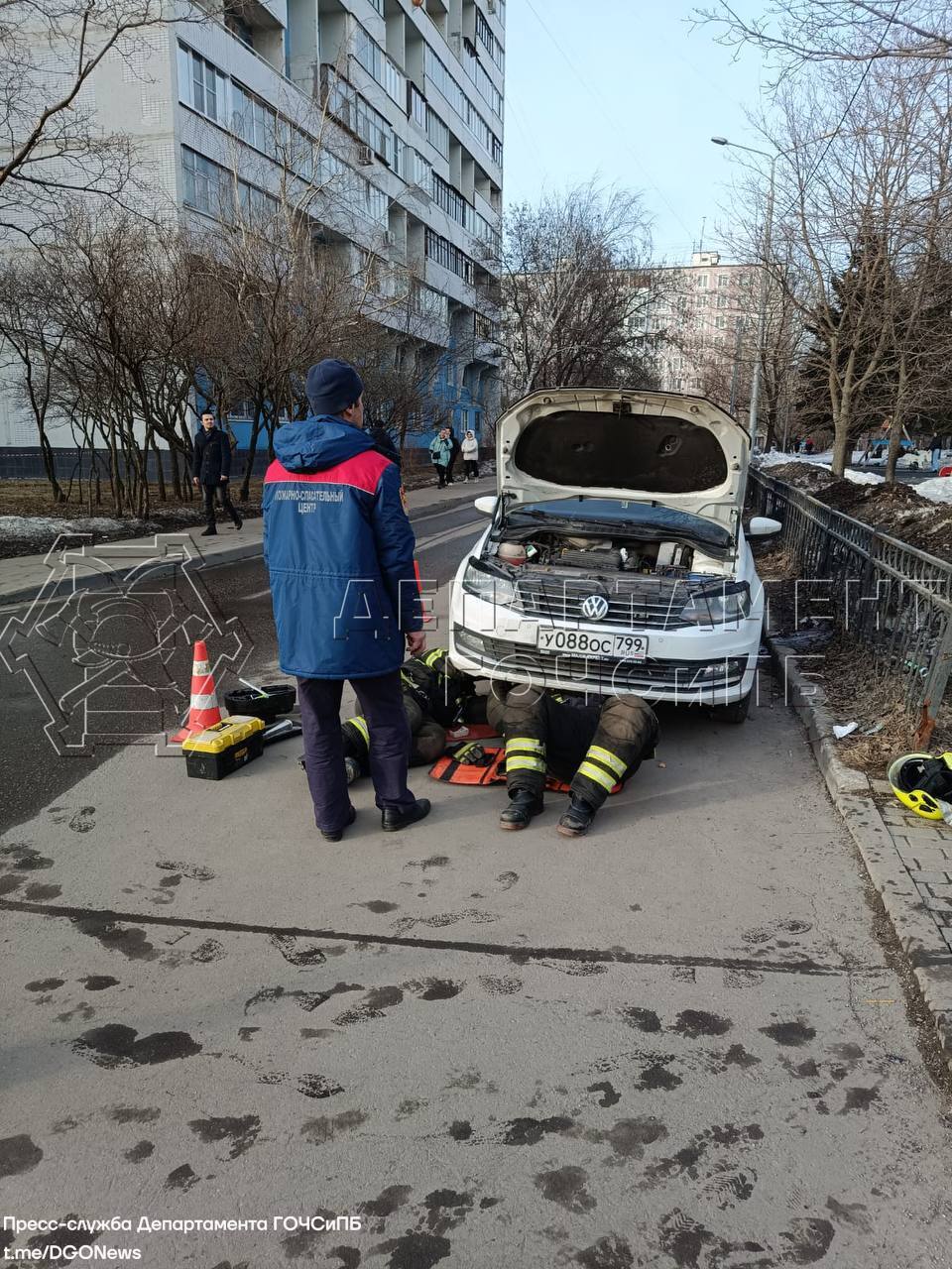 В Строгине спасли застрявшего в машине котёнка | Москва. Северо-Запад