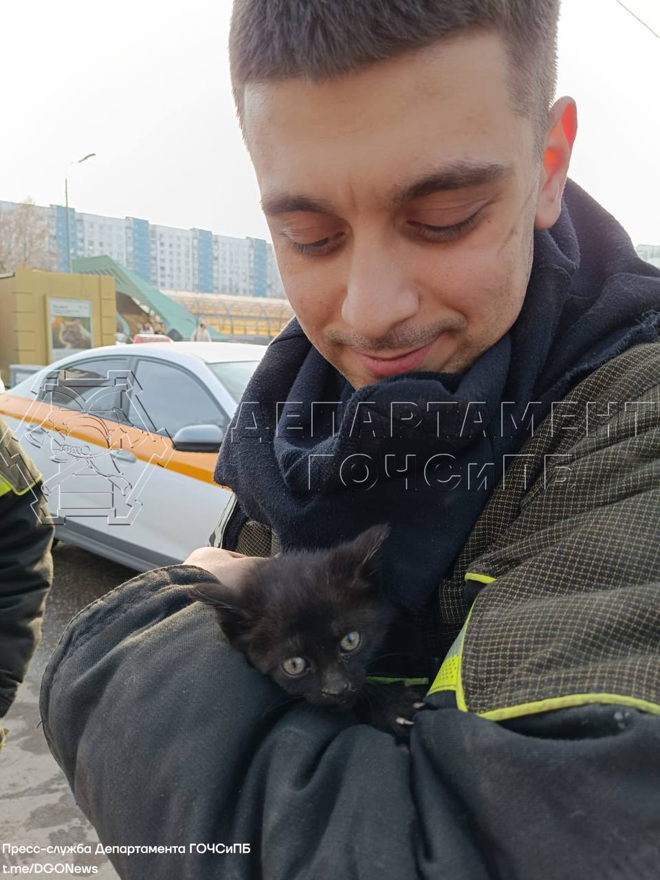 В Строгине спасли застрявшего в машине котёнка | Москва. Северо-Запад