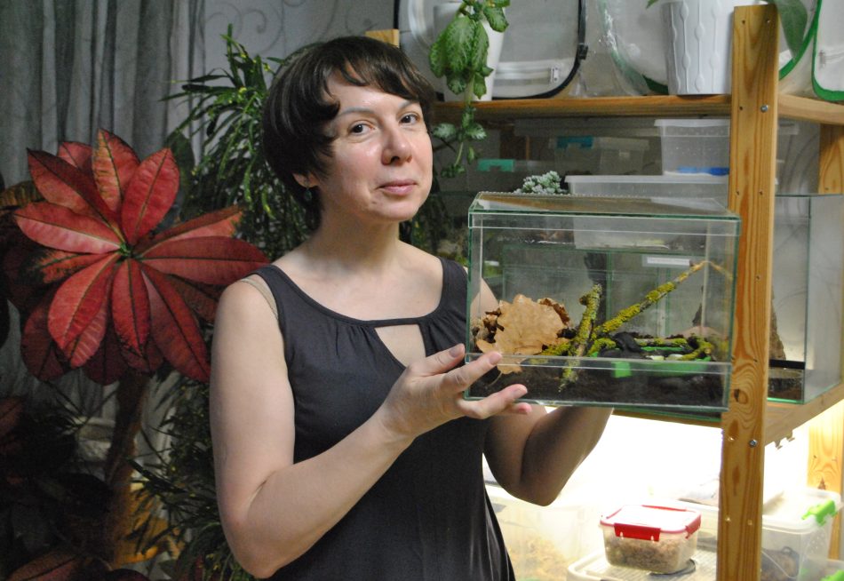 Дизайнер из Южного Тушина разводит экзотических моллюсков