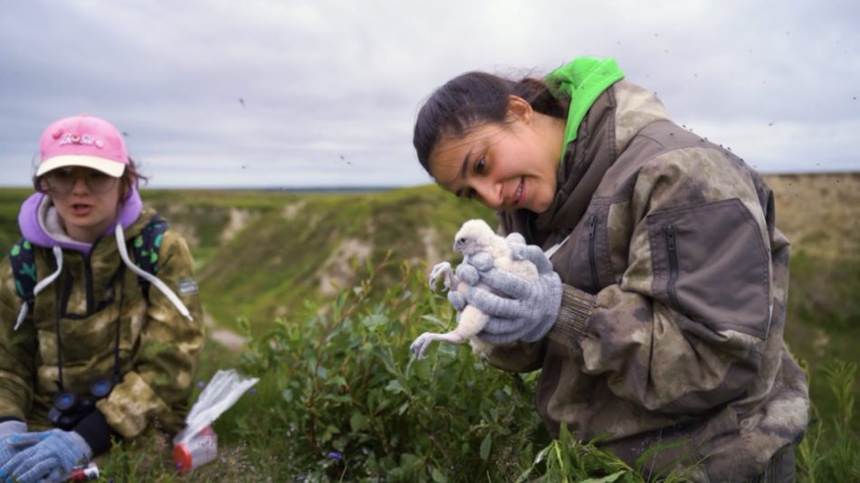 В Щукине покажут документальные фильмы о географических экспедициях