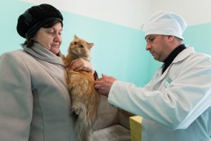 В феврале в СЗАО можно будет бесплатно привить питомцев от бешенства