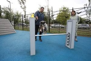 Крупнейшая площадка проекта «Питомцы в Москве» открылась в Северном Тушине